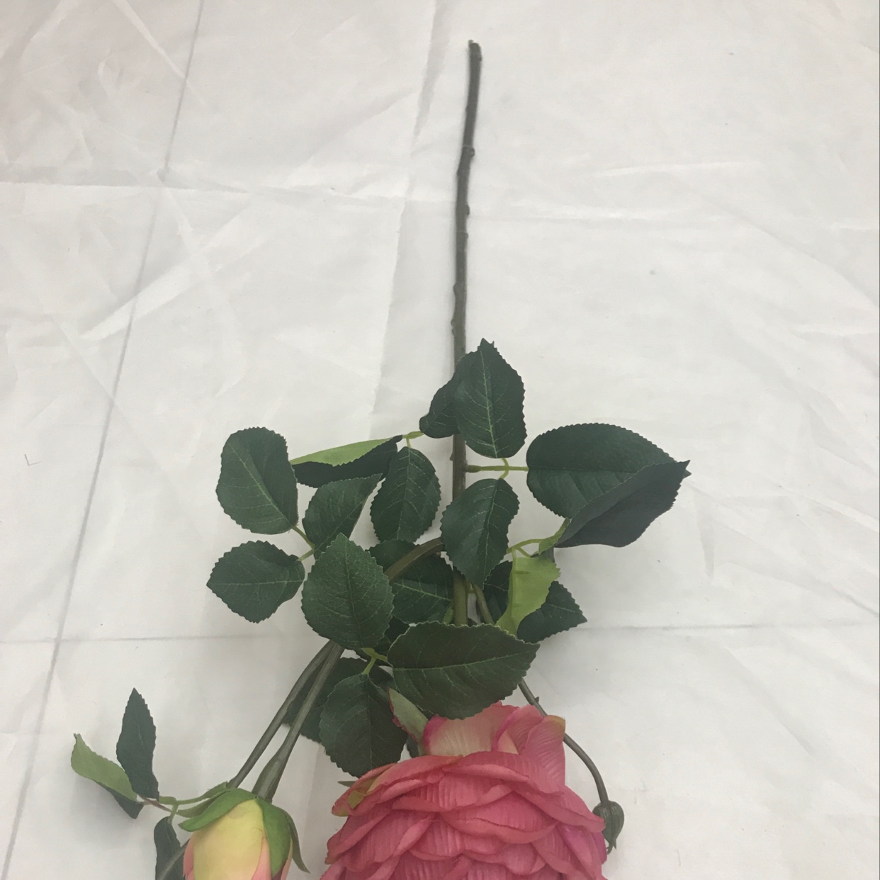 Two peonies on a single branch Specification image