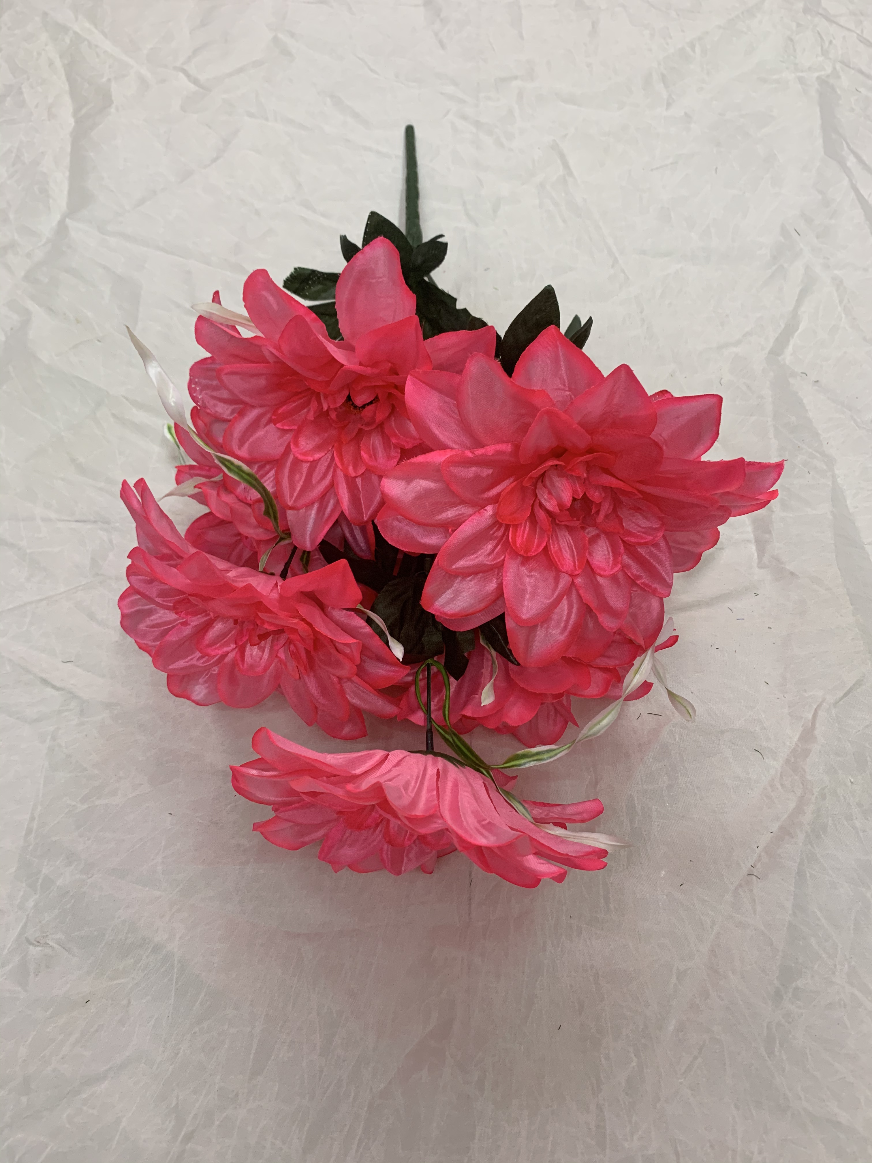 Seven daisies details Picture