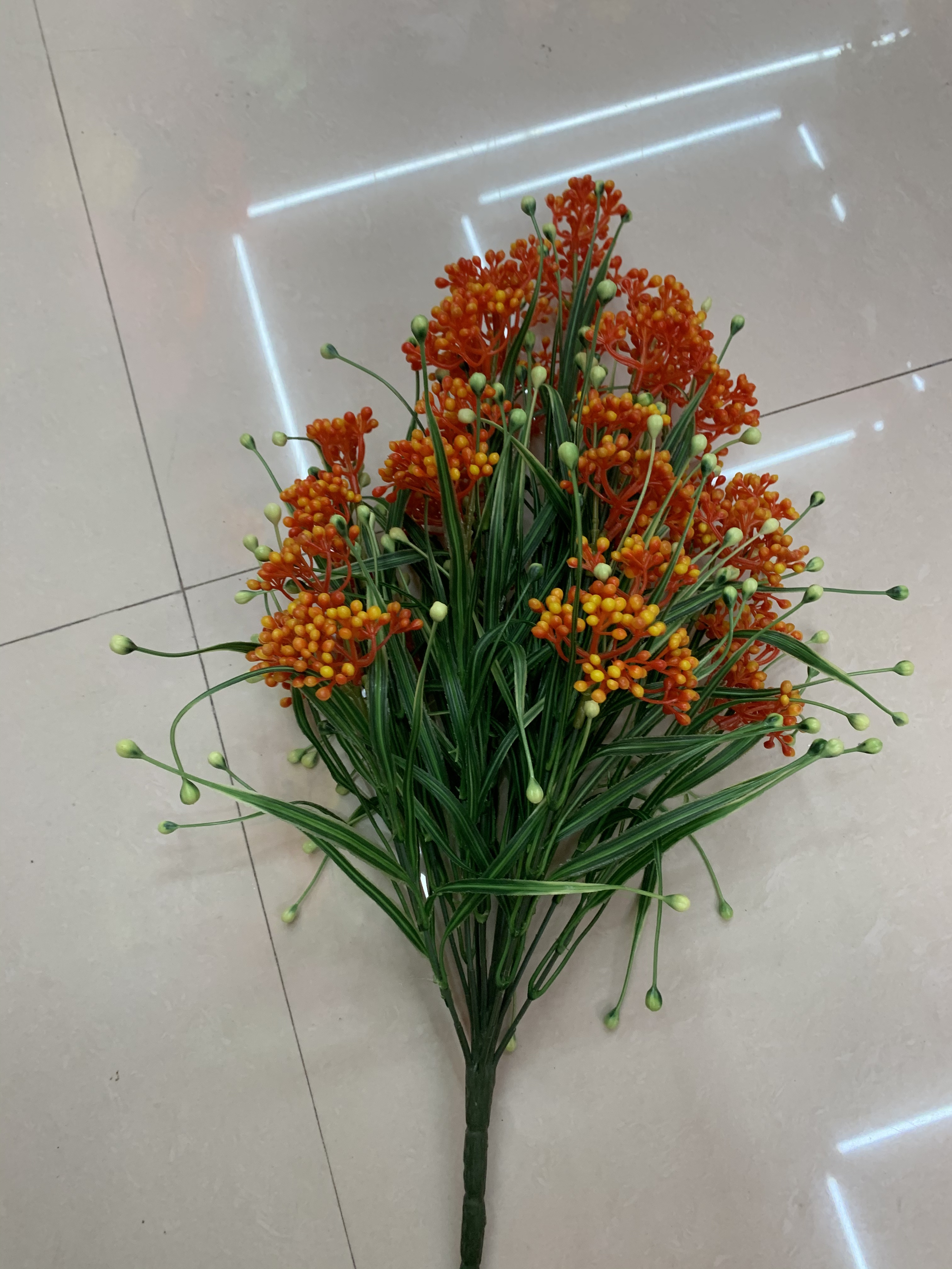 Eighteen red fruits Specification image