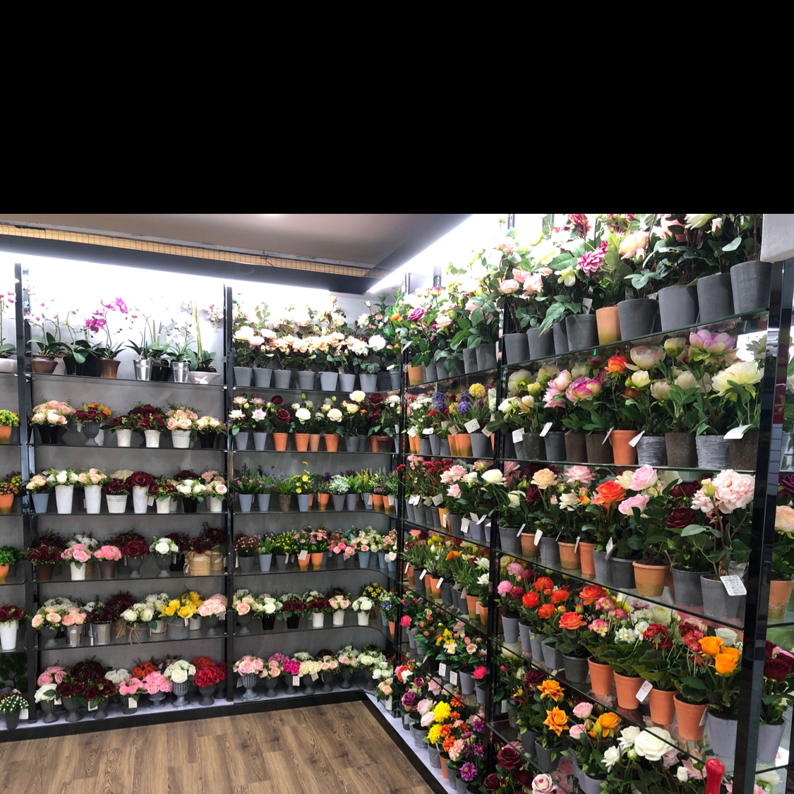 Sanfengyuan Flower describe pic - 1