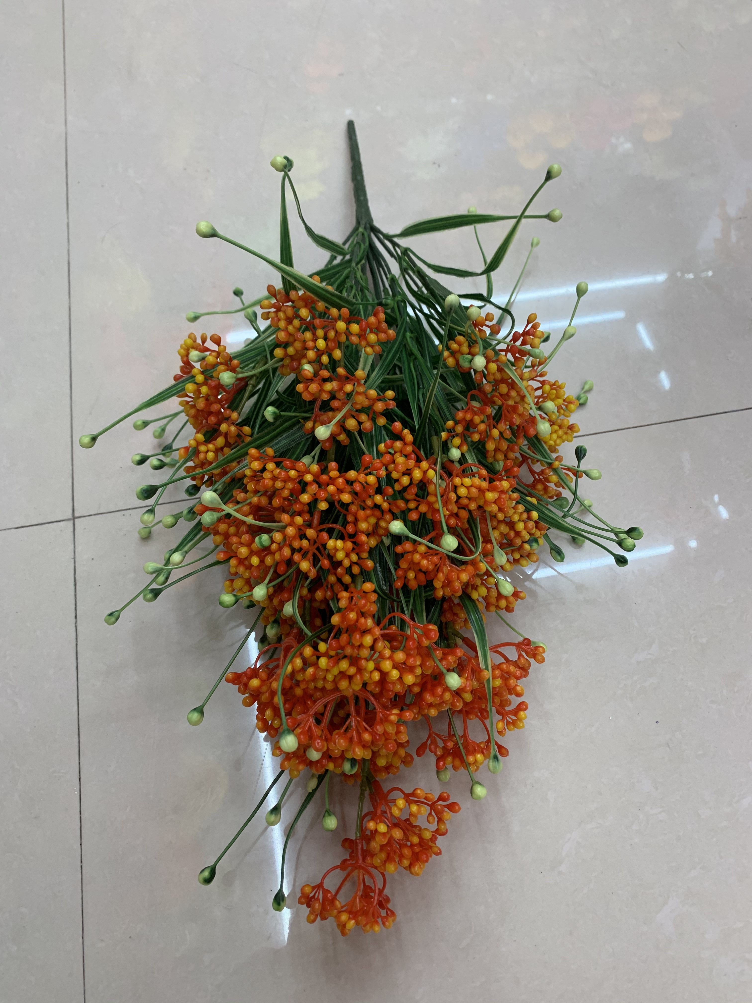 Eighteen red fruits Application Scenario