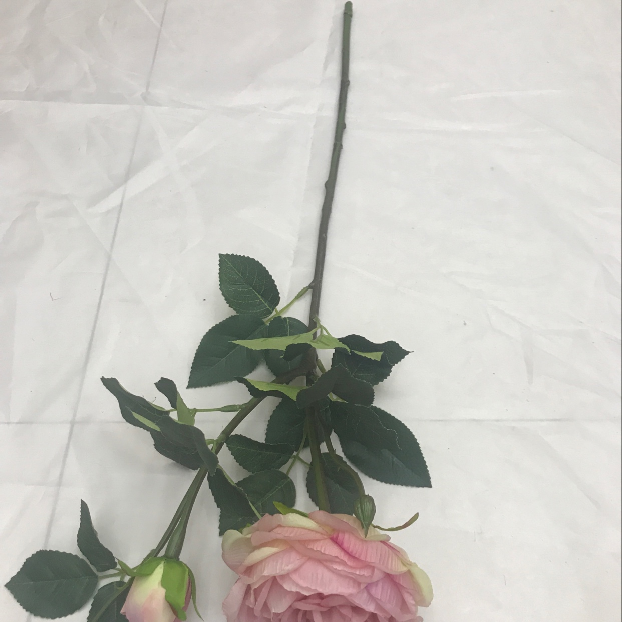 Two peonies on a single branch details Picture