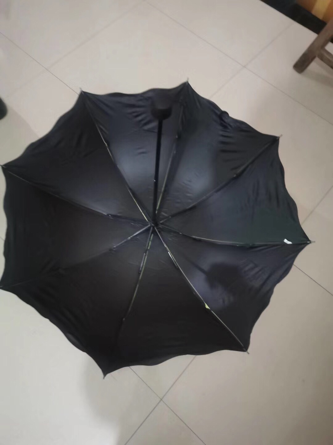 The Edge Of A Lotus Leaf Blooms When It Meets Water undefined