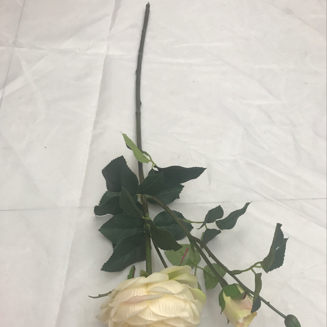 Two peonies on a single branch undefined