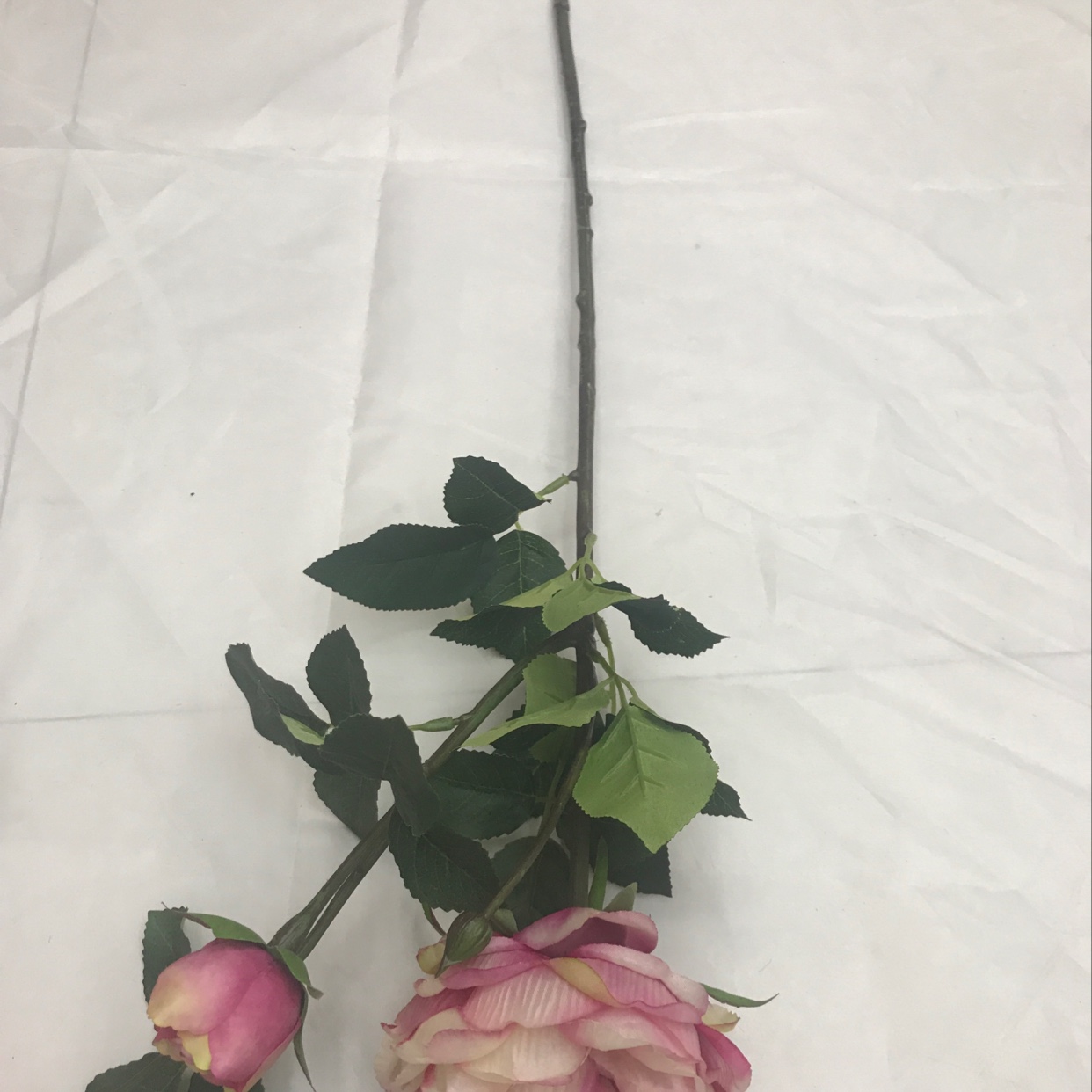 Two peonies on a single branch Item Picture