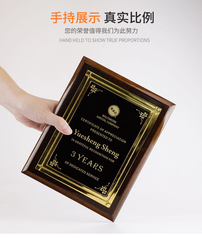 路加奖杯 LUKE 定制授权牌金属框木奖牌花边框木奖牌详情图4