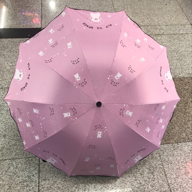 Vinyl Cute Pig Ruffles details Picture