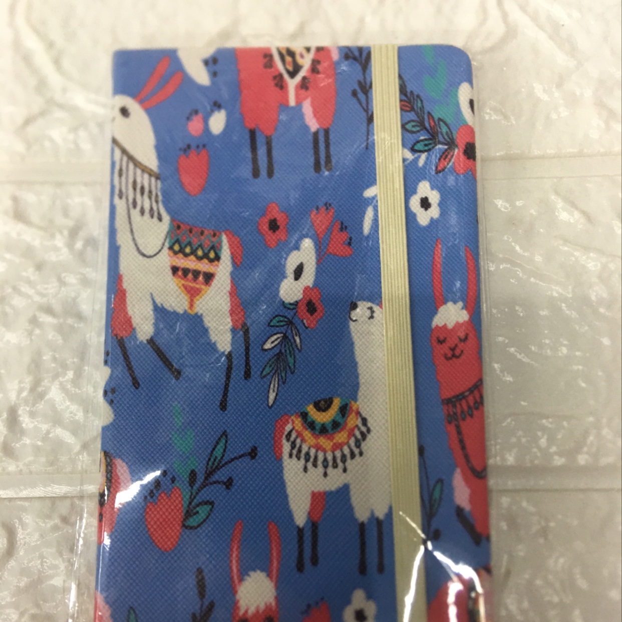 学生本细节图