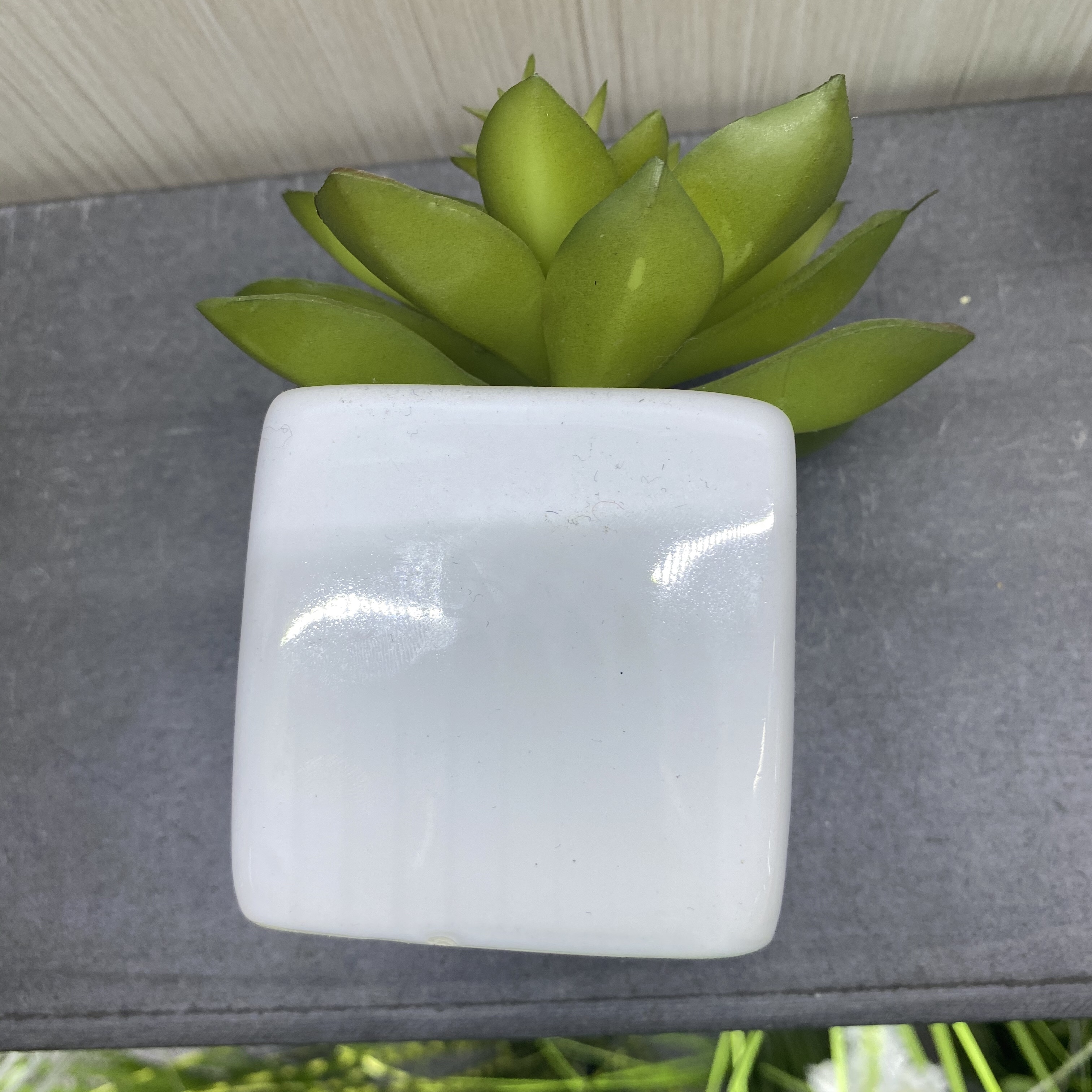 仿真多肉细节图