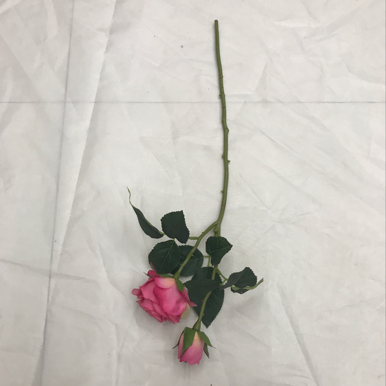 Two short-stemmed road lilies Item Picture