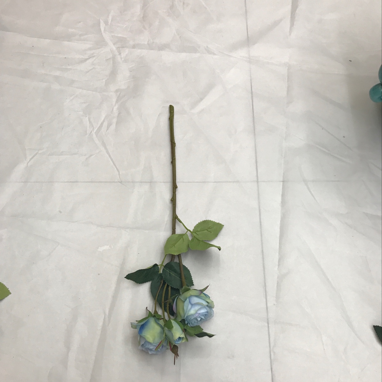 Three short-stemmed lovers' roses Item Picture