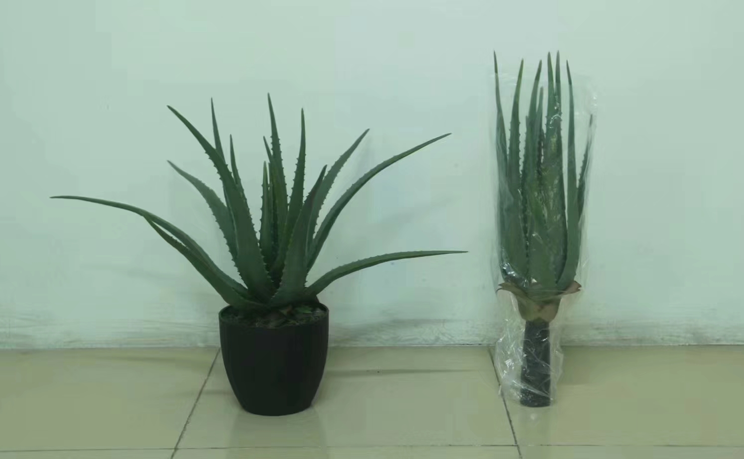 仿真芦荟细节图
