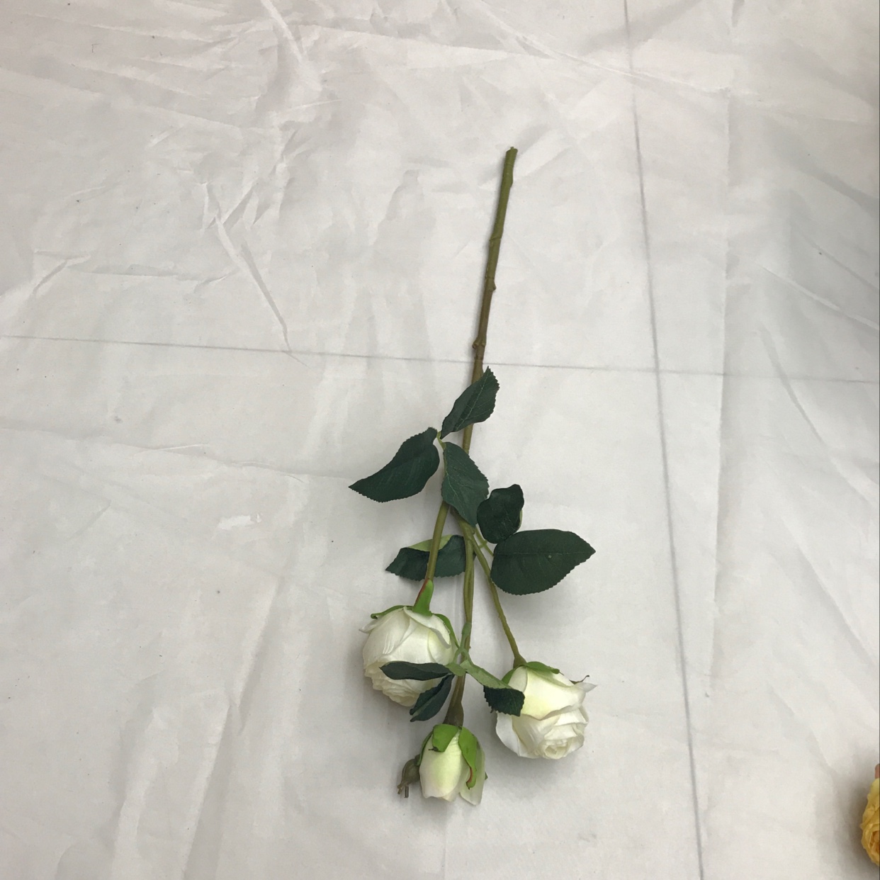 Three short-stemmed lovers' roses undefined