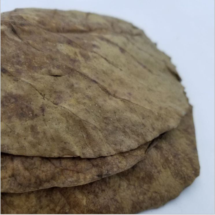 Yiwu Good goods Aquarium Fish tank, olive leaf aquarium sterilization, PH small-scale treatment, softening water quality, acid reduction, Betta fish lazy person details Picture