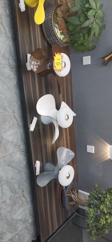 led fan chandelier, energy-saving and simple macaron Specification image