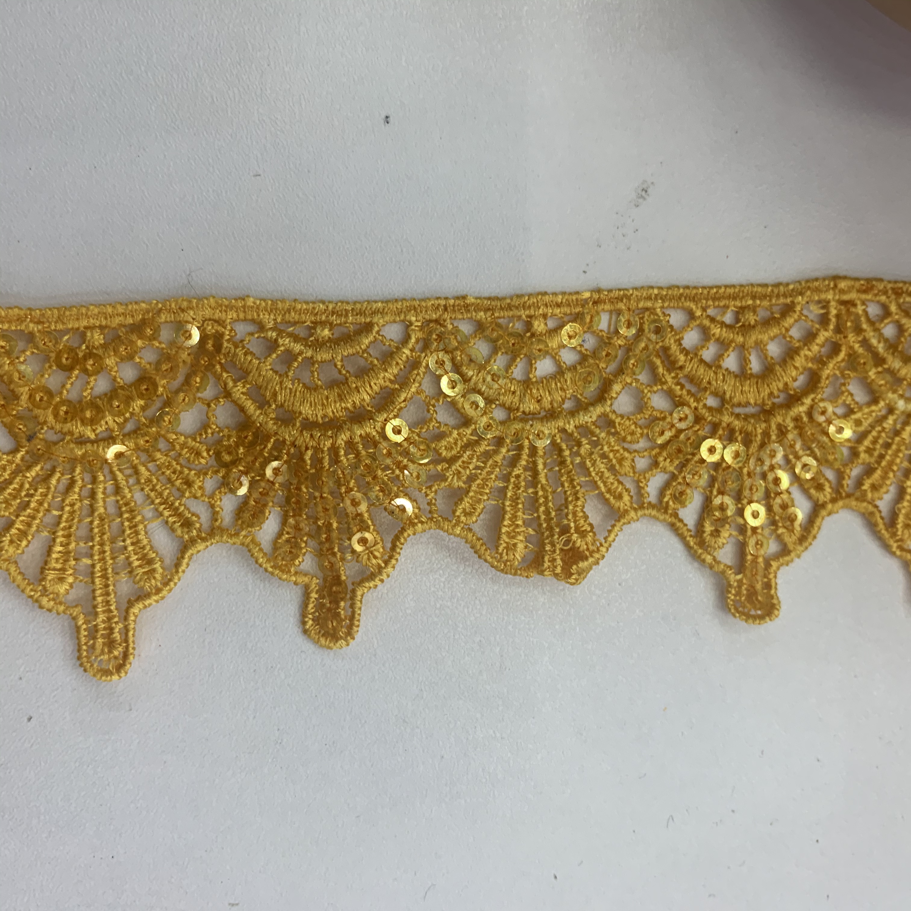 The clothing is decorated with sequined lace and embroidered lace details Picture