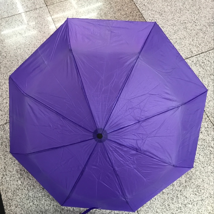 Three Fold Umbrella Plain Color Specification drawing