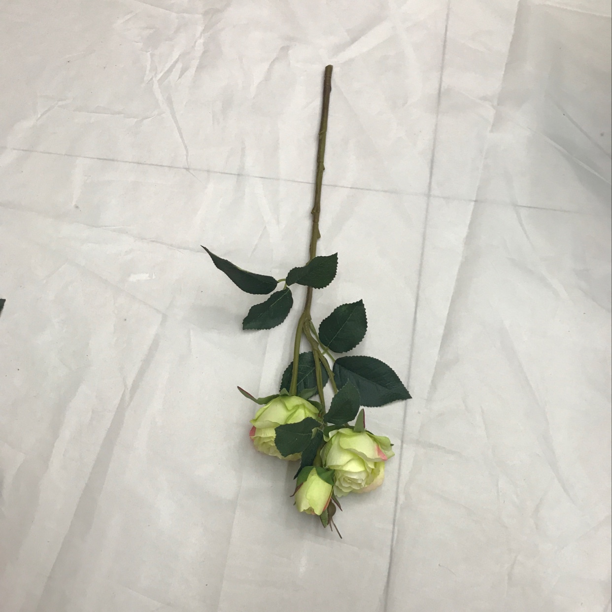 Three short-stemmed lovers' roses details Picture
