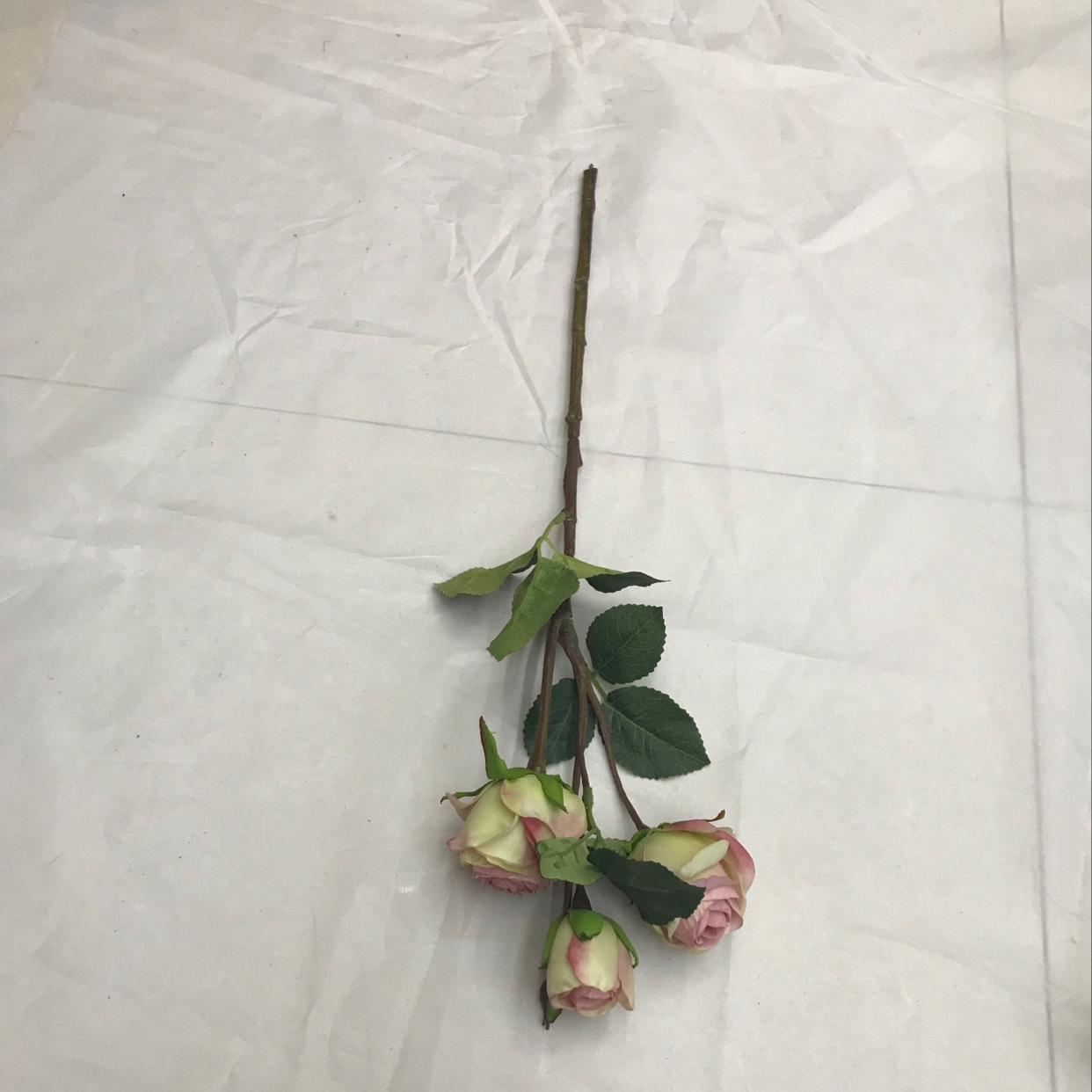 Three short-stemmed lovers' roses undefined