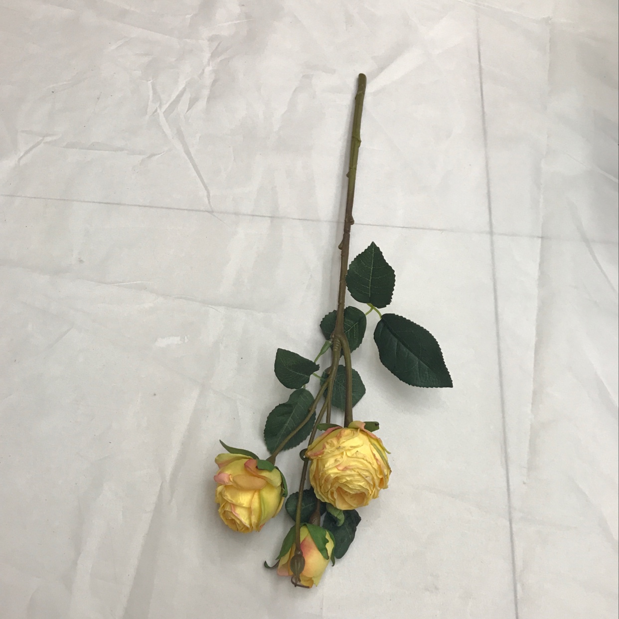 Three short-stemmed lovers' roses undefined