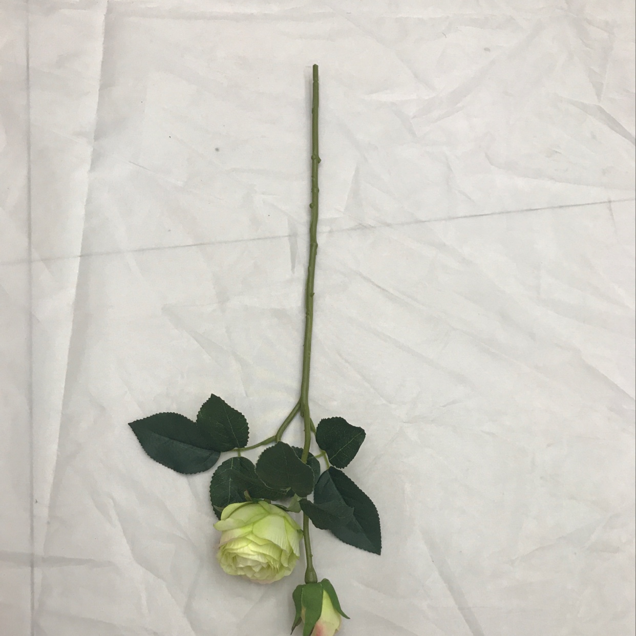 Two short-stemmed road lilies Application Scenario