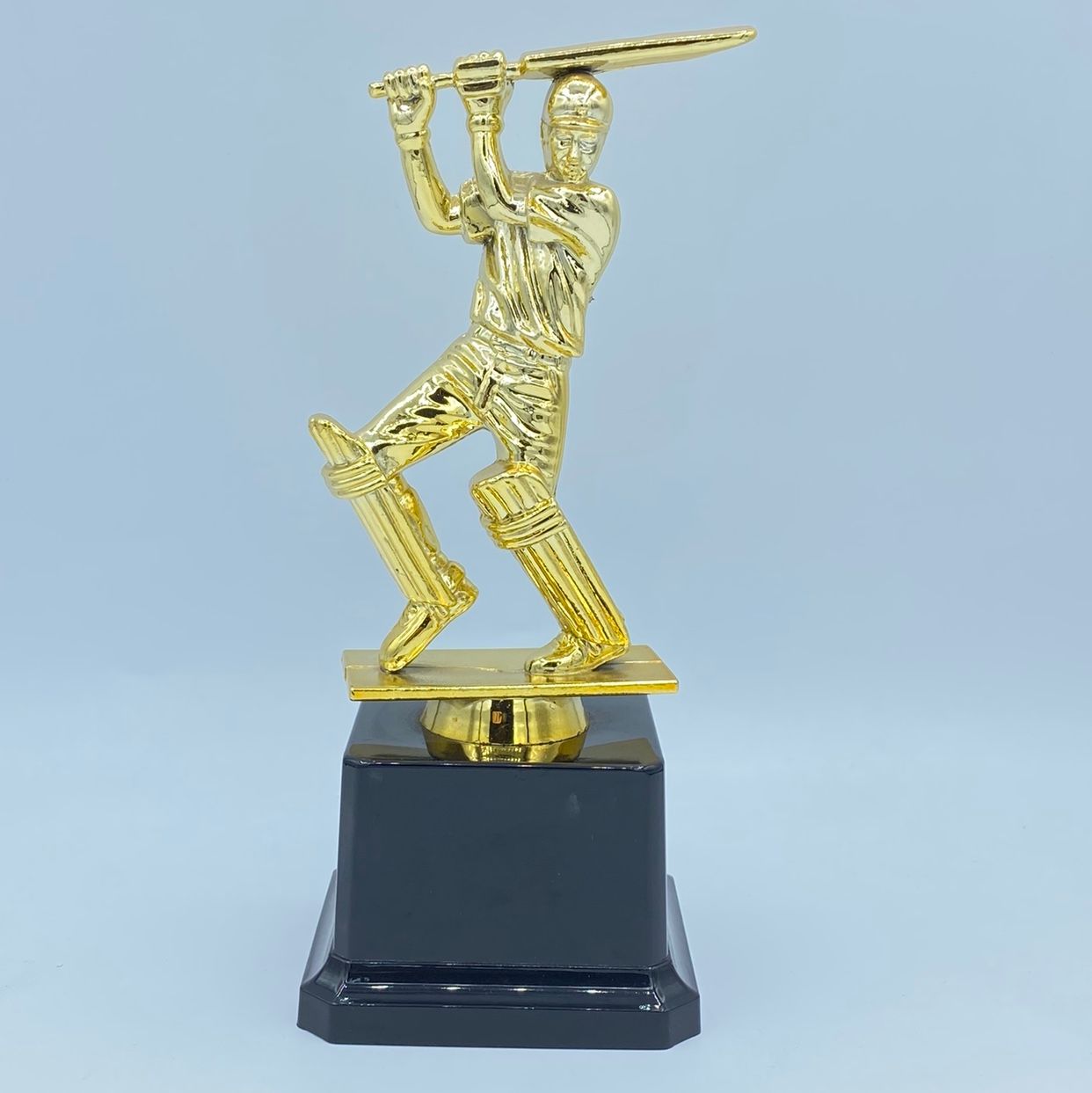 Cricket match Indian trophy, Glorious trophy, plastic factory direct sales and wholesale, 18.5CM custom logo pic 2