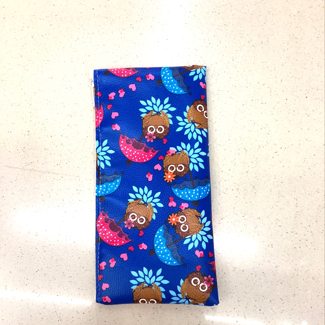 Blue Owl Cartoon Print Pen Case details Picture