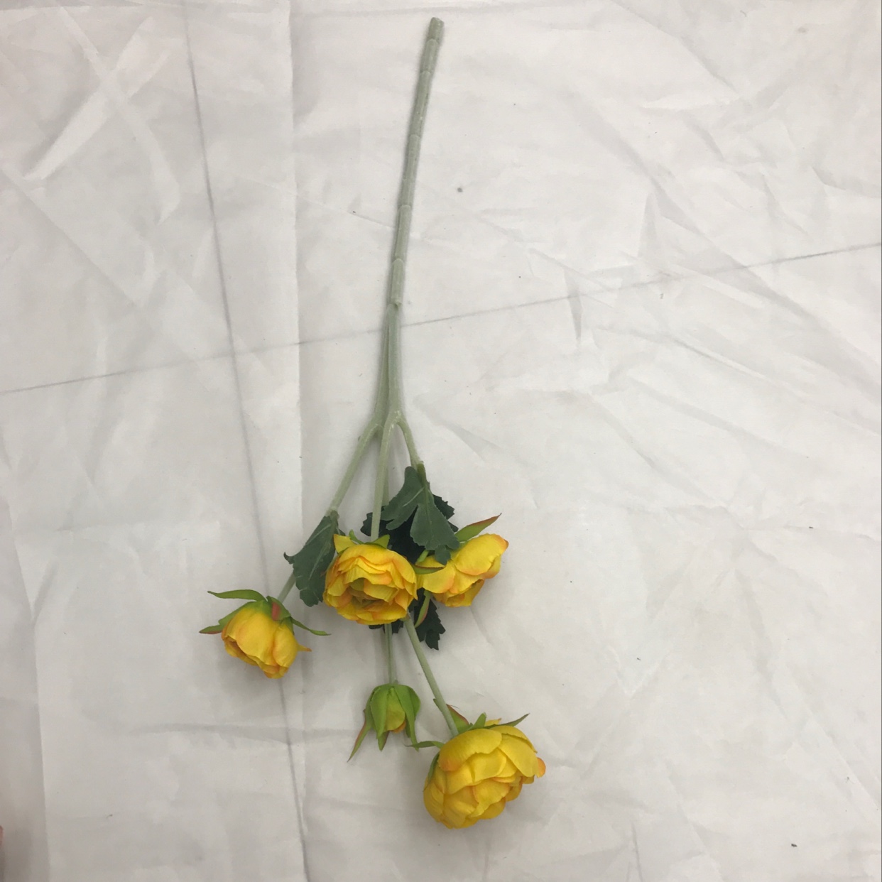 A single five-headed lotus Item Picture