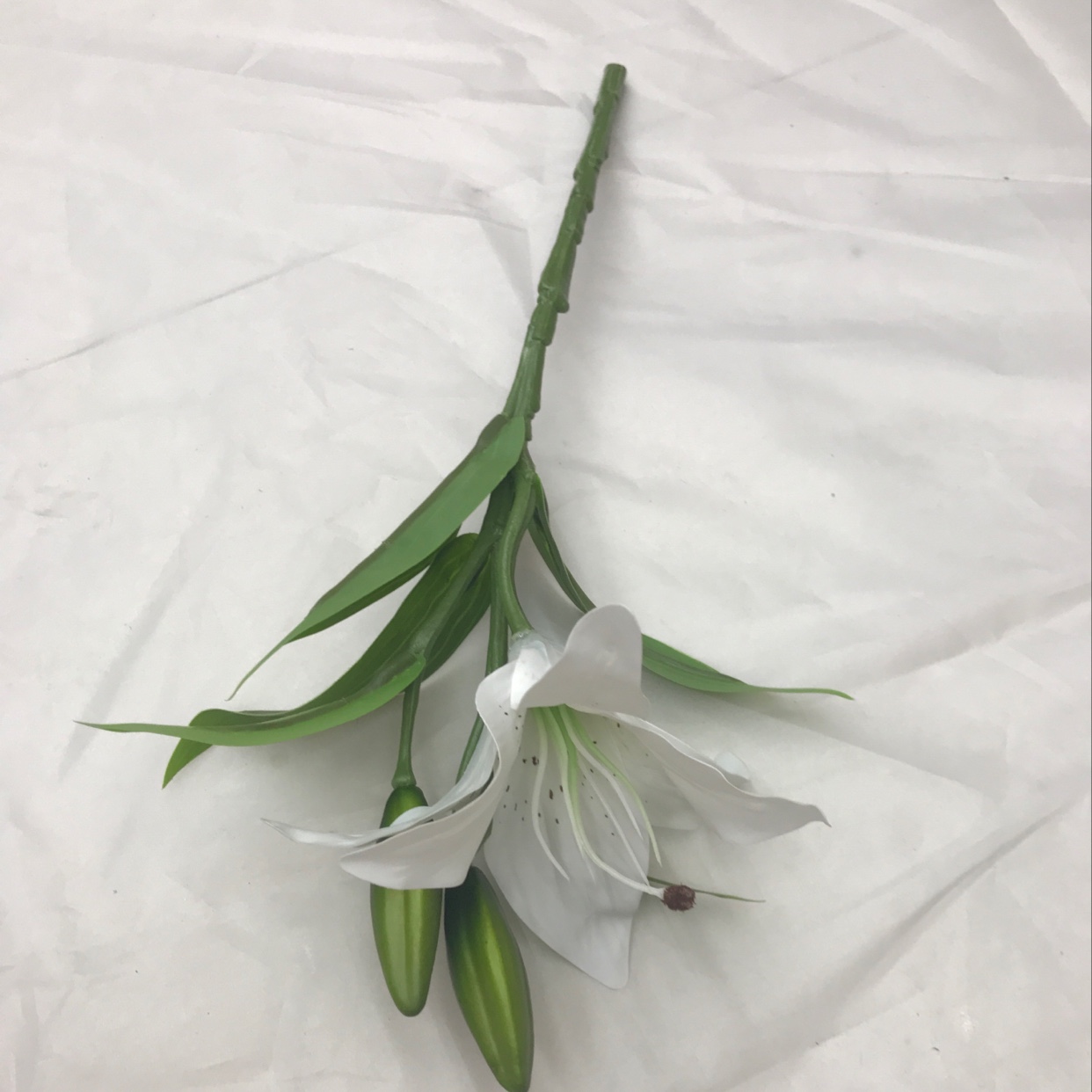 Three short-stemmed lilies