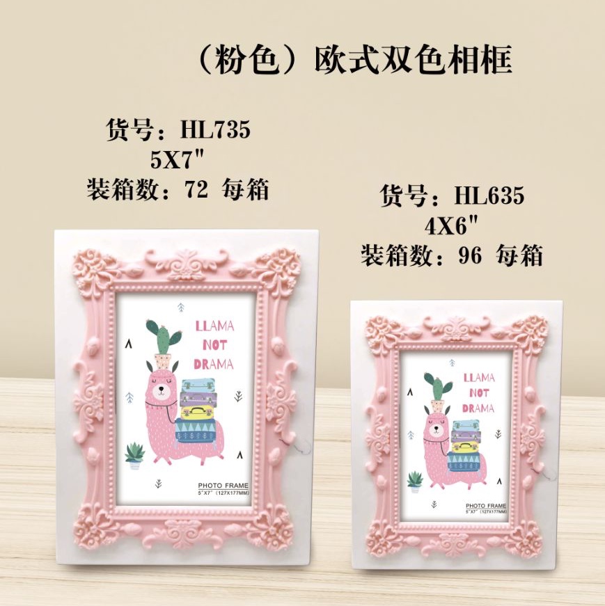 高端品质塑料相框4*6/96PCS、5*7/72PCS、4色混