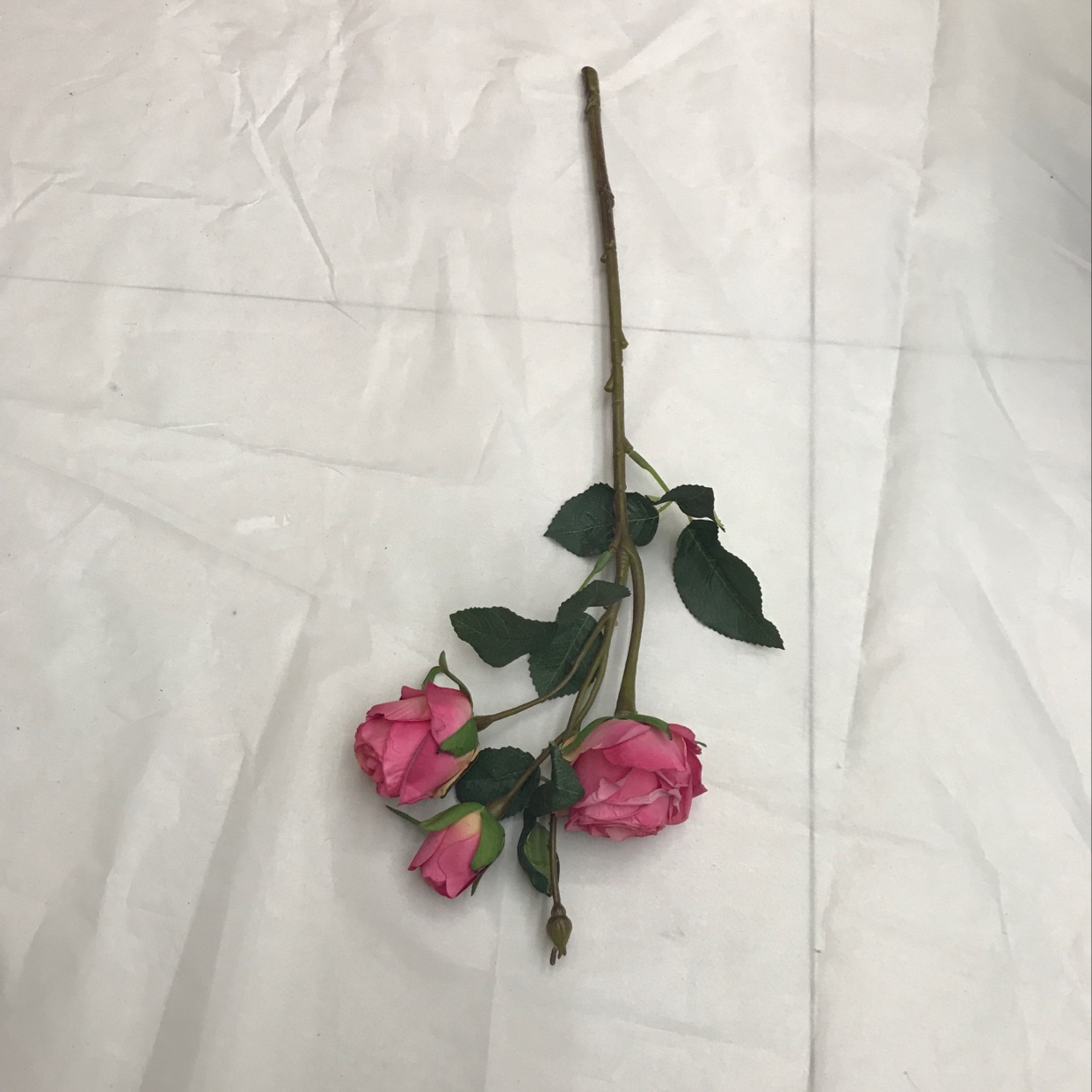 Three short-stemmed lovers' roses Specification image