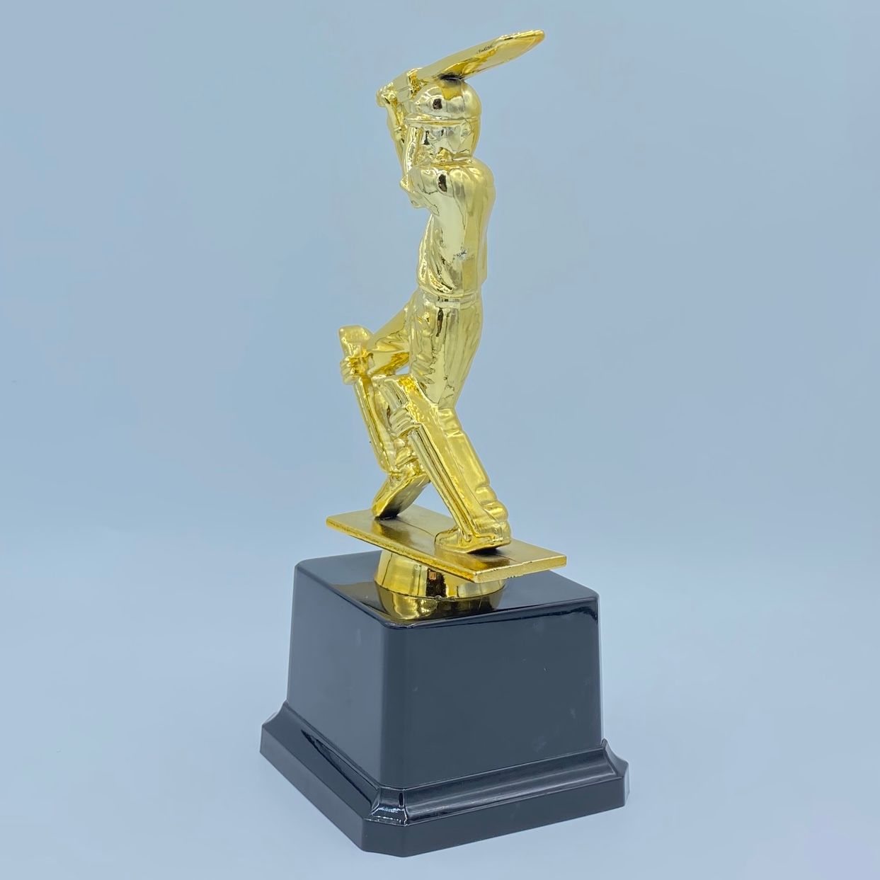 Cricket match Indian trophy, Glorious trophy, plastic factory direct sales and wholesale, 18.5CM custom logo pic 3
