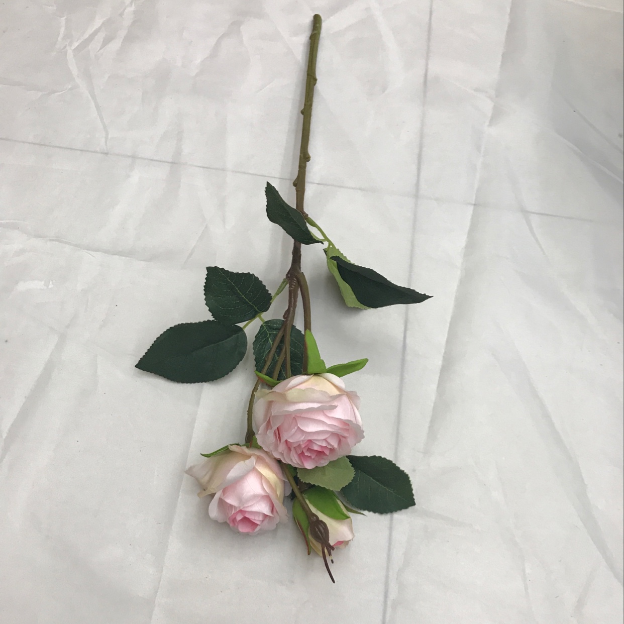 Three short-stemmed lovers' roses