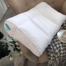 厂家直销枕头新款枕头高端德国进口羽丝绒纤维枕热卖中