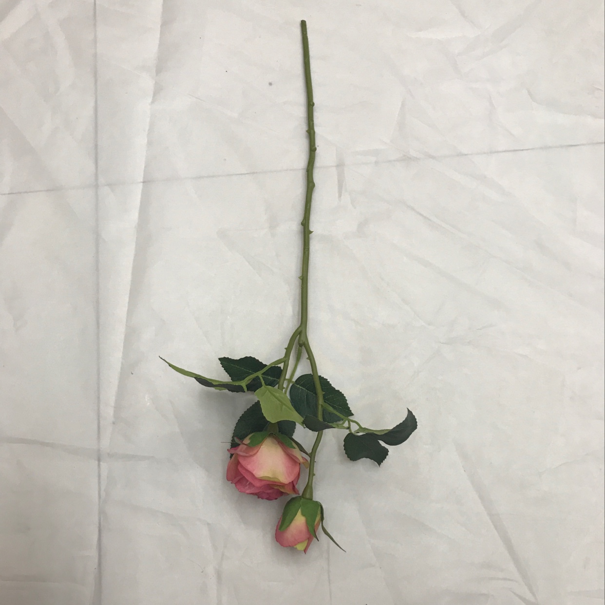 Two short-stemmed road lilies Specification image
