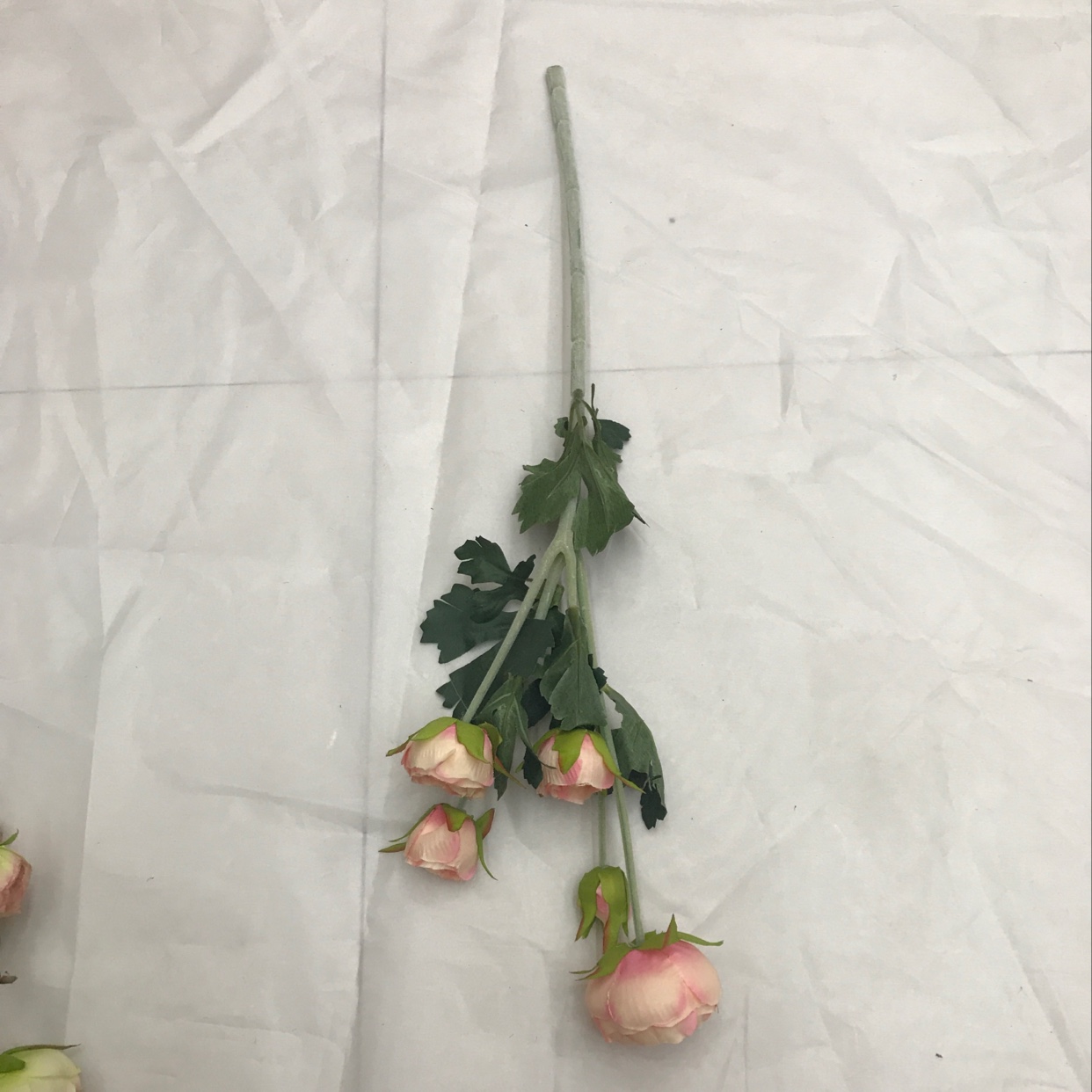 A single five-headed lotus undefined