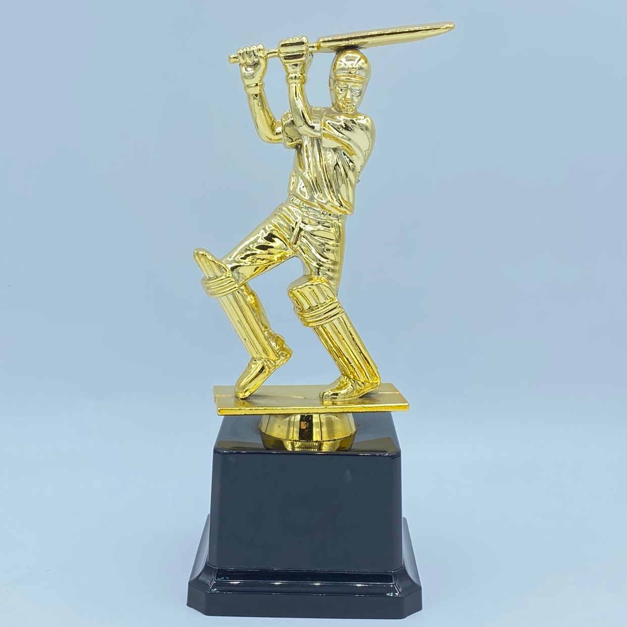 Cricket match Indian trophy, Glorious trophy, plastic factory direct sales and wholesale, 18.5CM custom logo pic 4