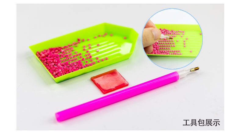 外贸跨境批发专供5D钻石画花朵非满钻DIY手工工艺品装饰画 可定制详情图4