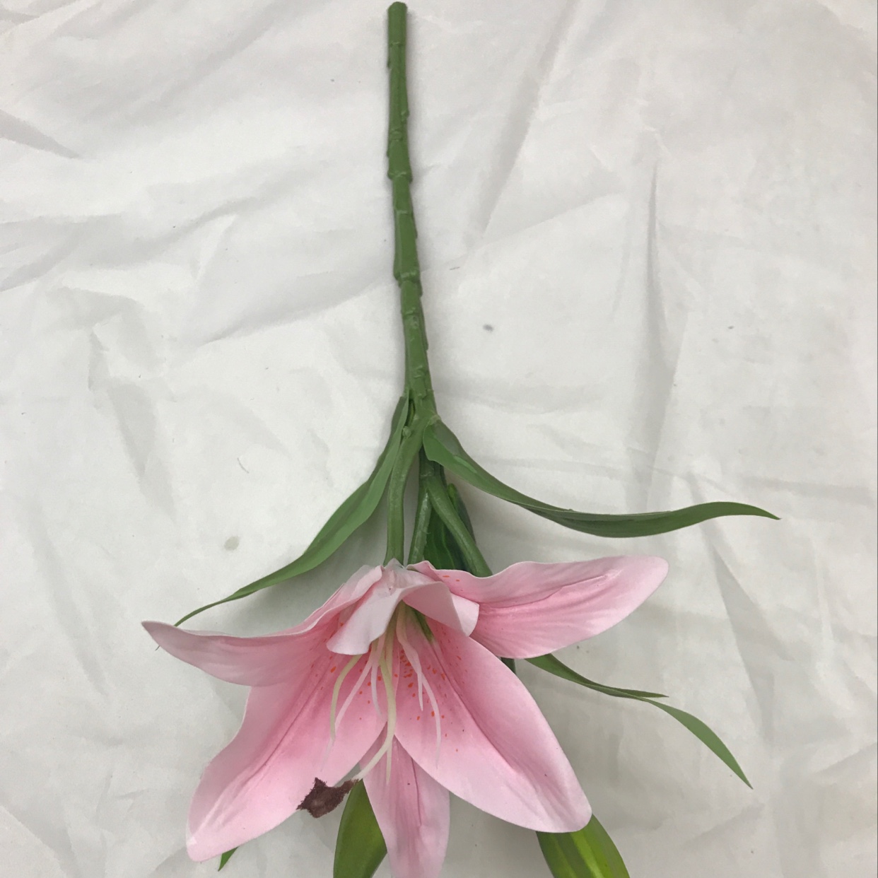 Three short-stemmed lilies details Picture