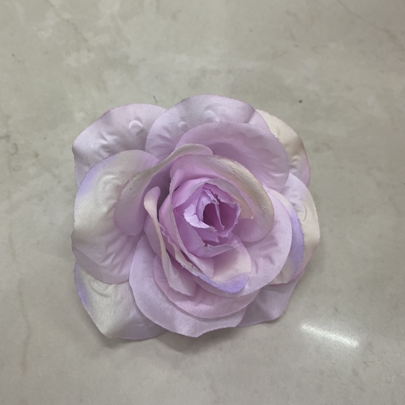 Big rose flower
