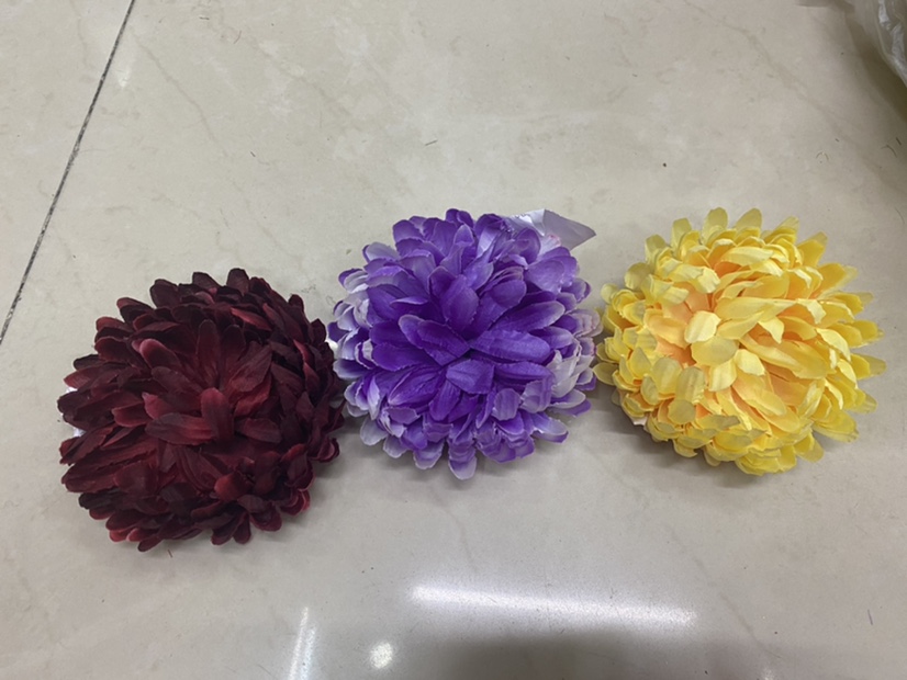 Chrysanthemum flowers