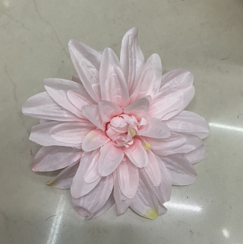 Dahlia