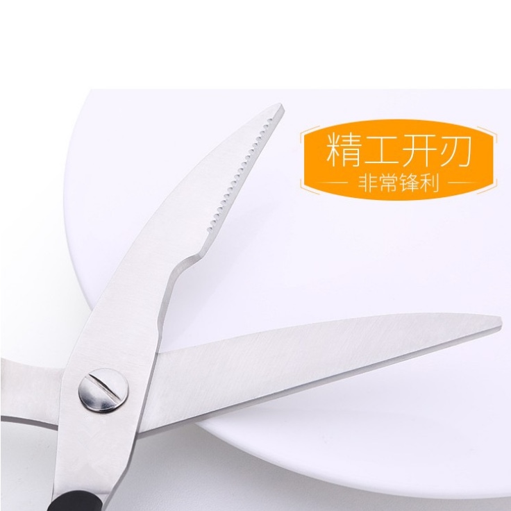 骨剪 食物剪细节图