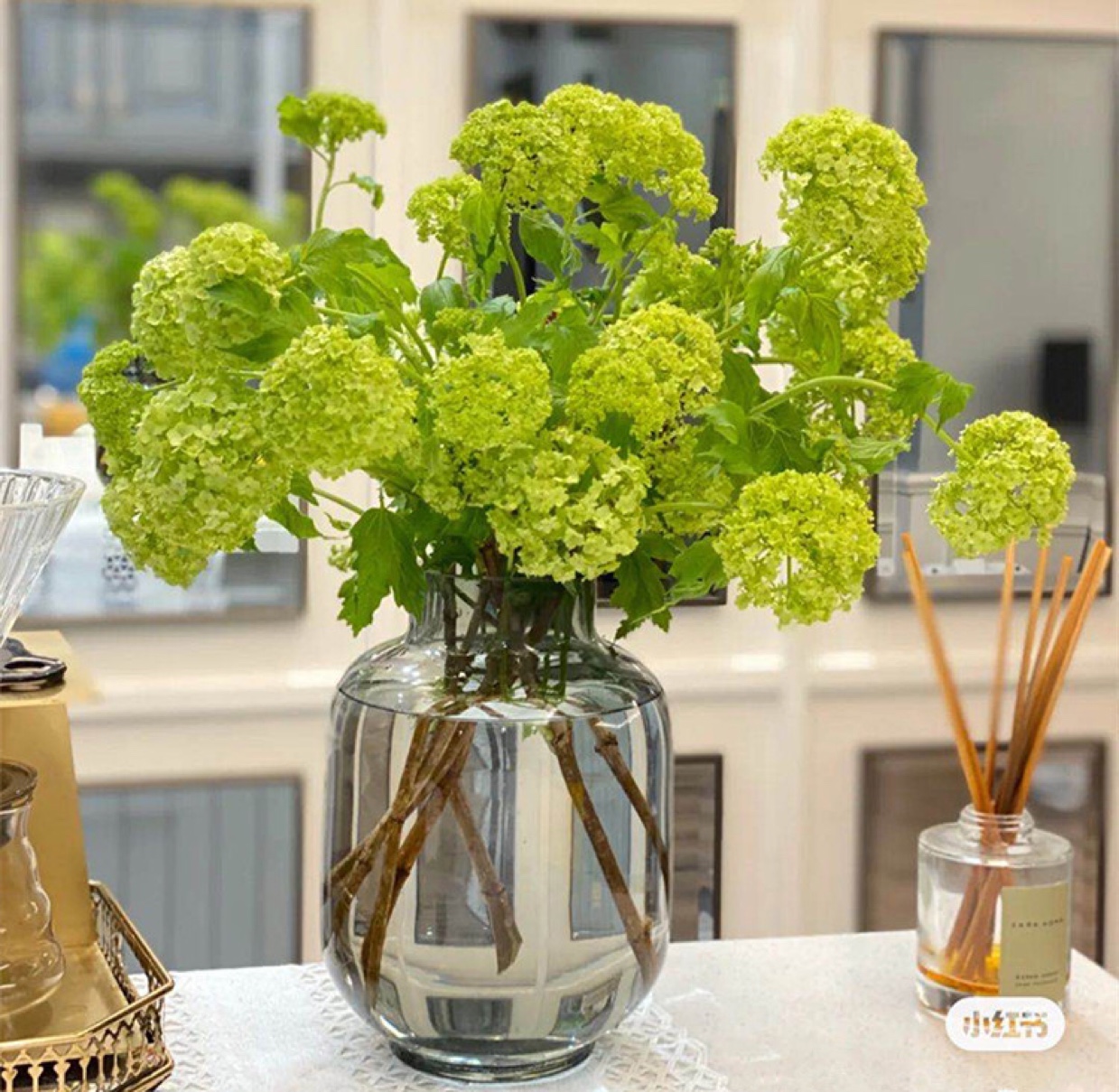 新款1622 厂家新款人工吹制 色料玻璃花瓶简约现代玻璃花瓶透明插花瓶北欧美式客厅餐桌轻奢家居装饰品摆件 批发