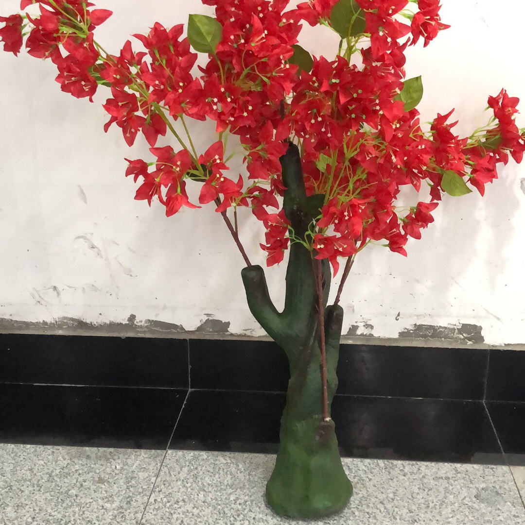 bougainvillea thumbnail