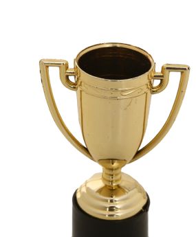 辉煌奖杯高档奖杯小号塑料杯定制定做奖杯可定制logo详情图2
