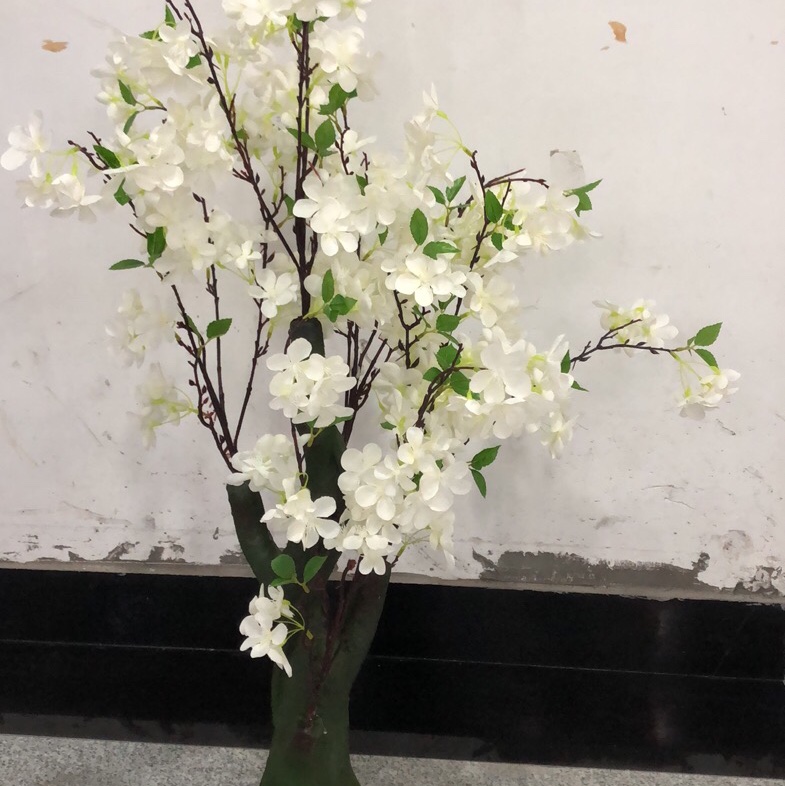 Cherry blossom