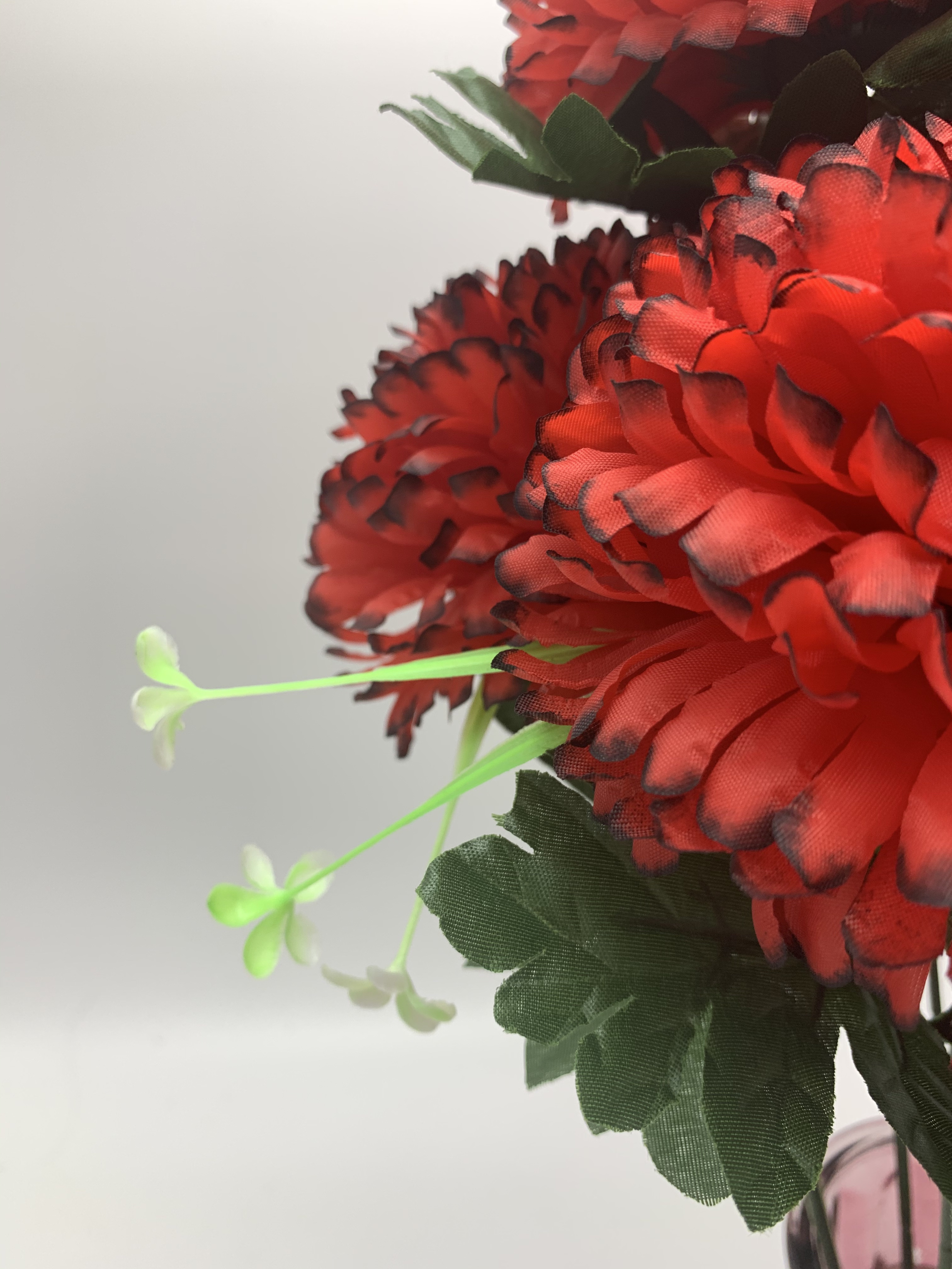 Nine new cloves of Fu Daxin details Picture