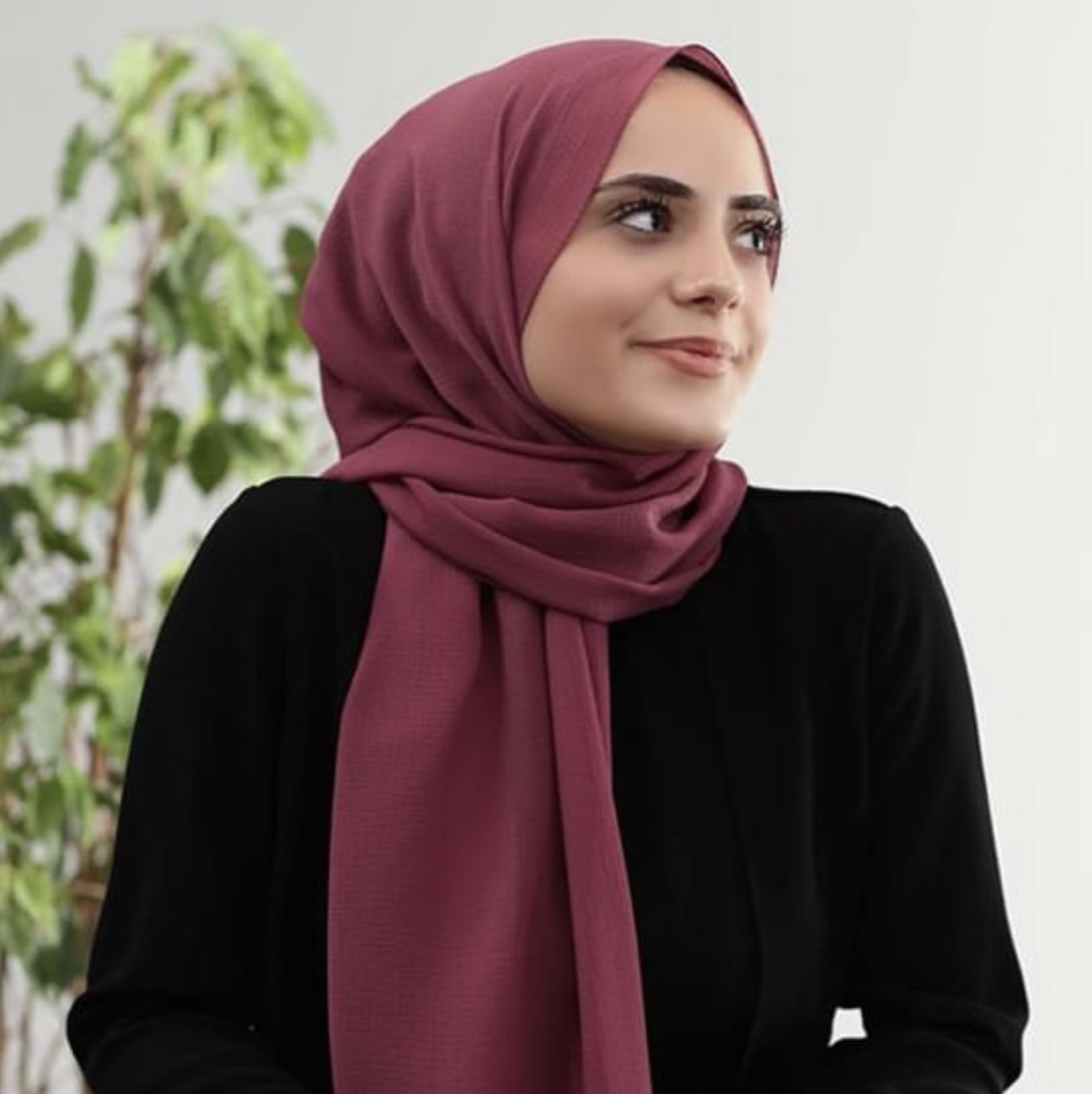 Scarf, Chiffon, Scarf, Square, Opp, Peery-66