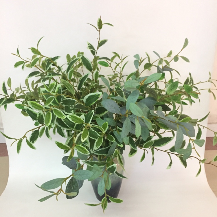 3叉小橄榄叶仿真绿植绿叶摆放花草